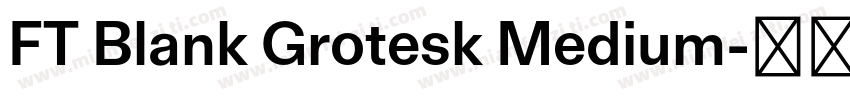 FT Blank Grotesk Medium字体转换